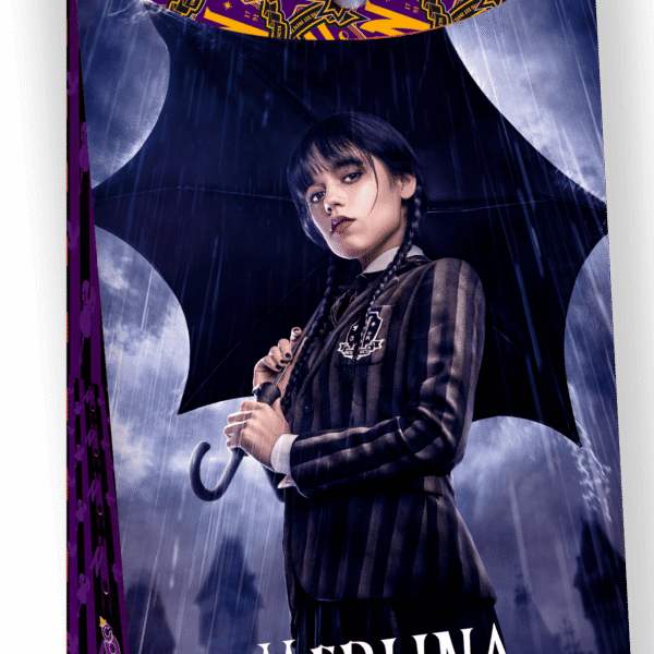 BOLSA DE PAPEL C/CIERRE MERLINA X8