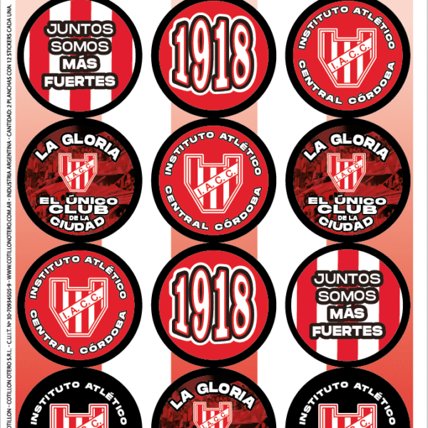 AUTOADHESIVO INSTITUTO (12UNID) X2