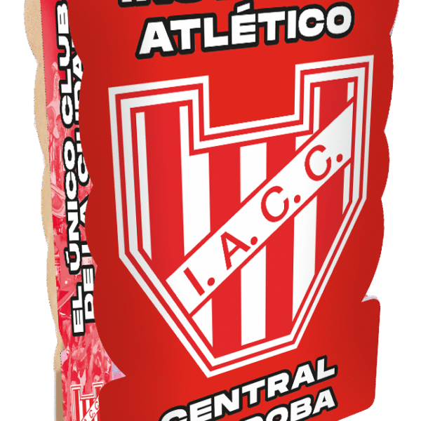 PIÑATA INSTITUTO X1