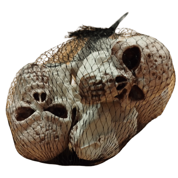 BOLSA C/CALAVERAS CHICAS X6